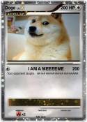 Doge
