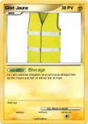 Gilet Jaune