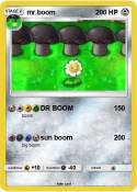 mr.boom