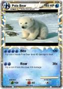 Pola Bear
