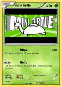 mine turtle