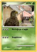 aigle