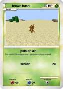 brown bush