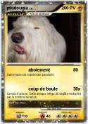 pikalougia