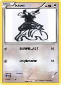 burpex