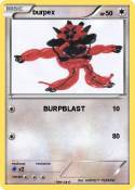 burpex