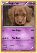 Puppy Dog