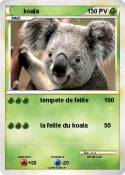 koala