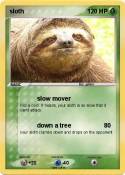 sloth