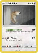 Wall Shibe
