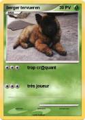 berger tervuere
