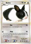 Bunny