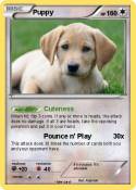 Puppy