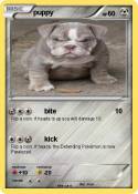 puppy