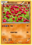Red blomers