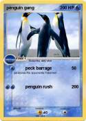 penguin gang