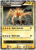 Spiky crab