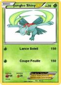 Jungko Shiny