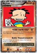 Big Nate