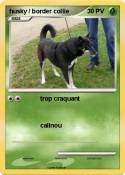 husky / border