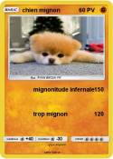 chien mignon