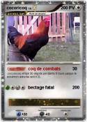 cocoricoq