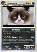 Grumpy Cat