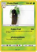 Pickle Plant