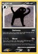 BLACK cat