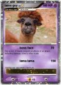 lama guy