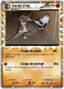 Karaté Chat
