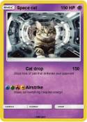 Space cat