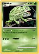 Caméléon