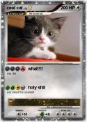 cool cat