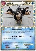 30DOG