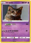 mr meow