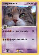 chat potte niv