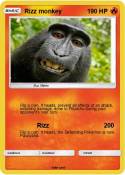 Rizz monkey