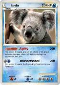 koala