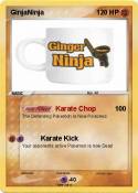 GinjaNinja