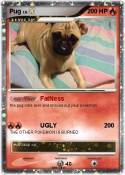 Pug