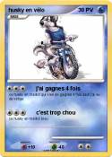 husky en vélo