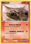 SUSY CAT