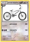 grosse mouche