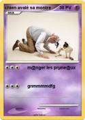 chien avalé sa