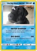 the big black