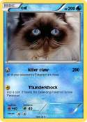 cat