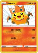 pokorie