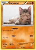 Adam catler