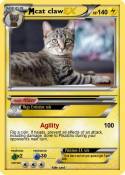 cat claw